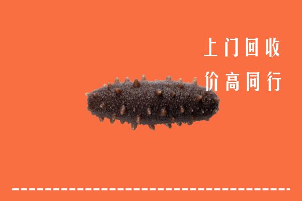 收购行情：西陵区回收海参